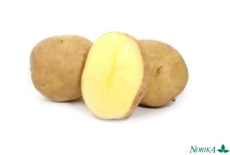 All about grade potatoes 